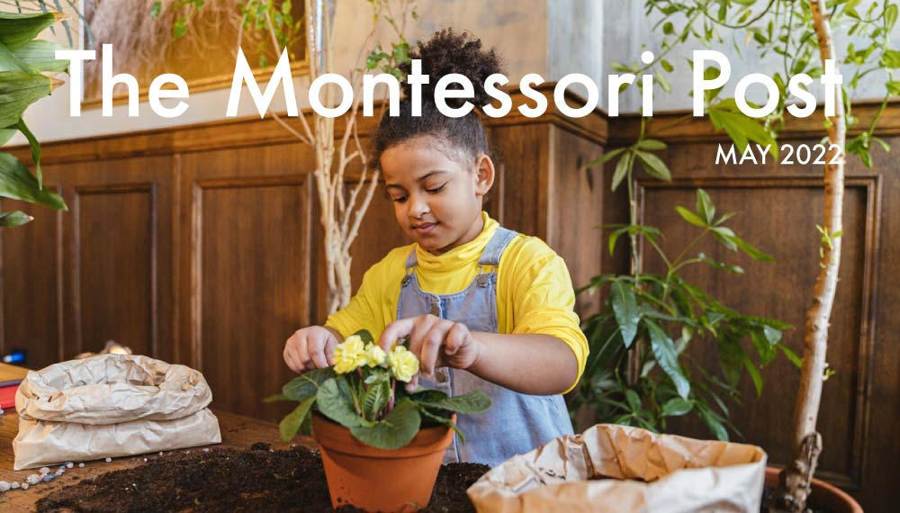 The Montessori Post