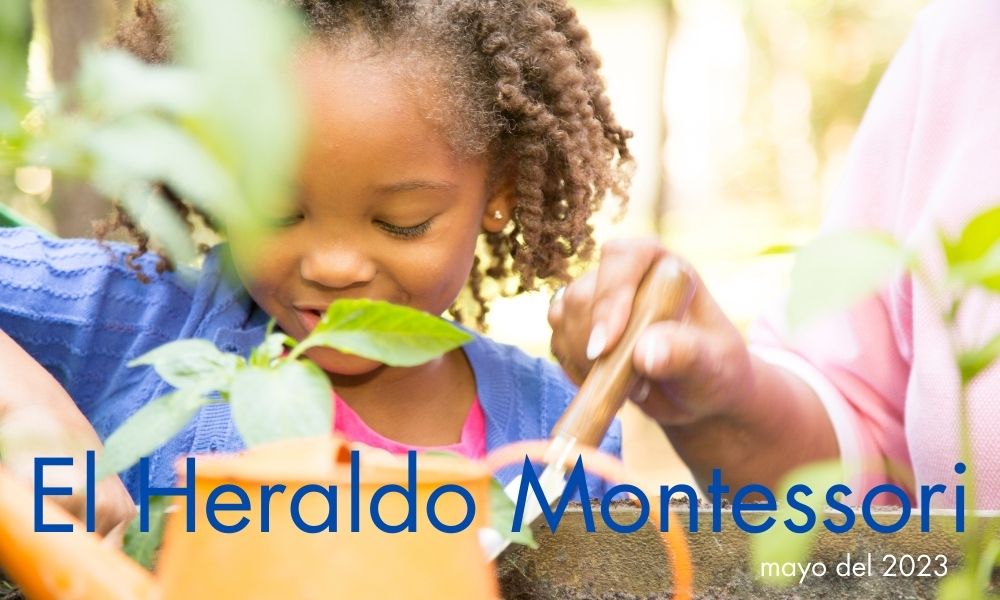 El Heraldo Montessori