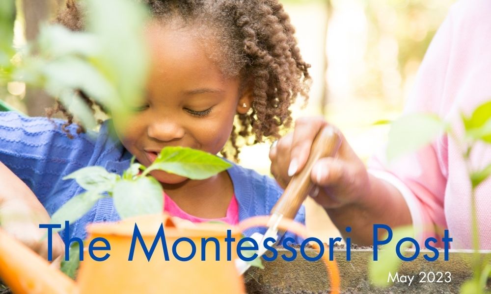 The Montessori Post