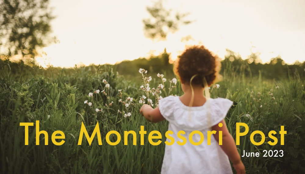 The Montessori Post